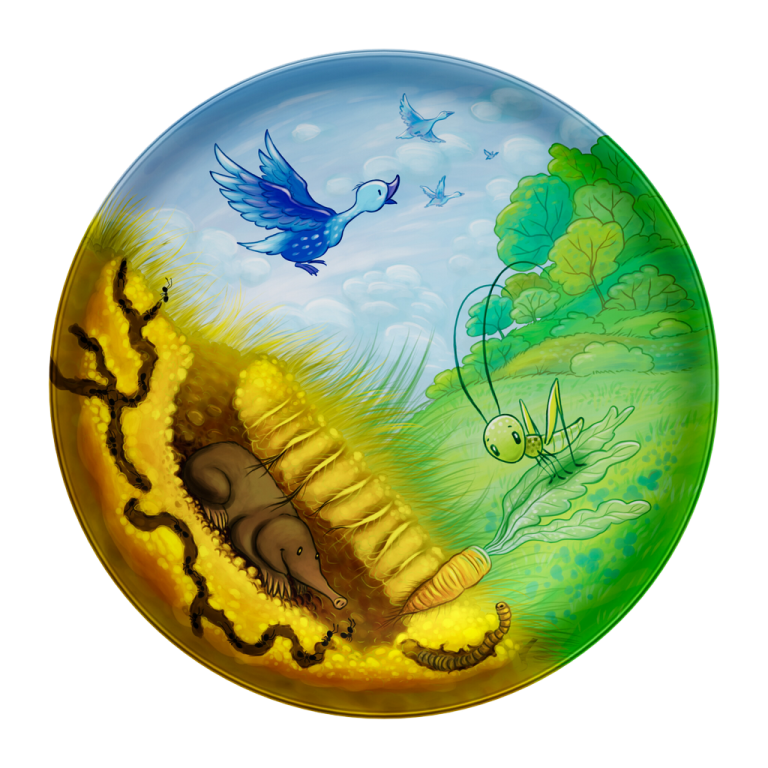 Playte Tiny - צלחת משחק פיקניק בגינה